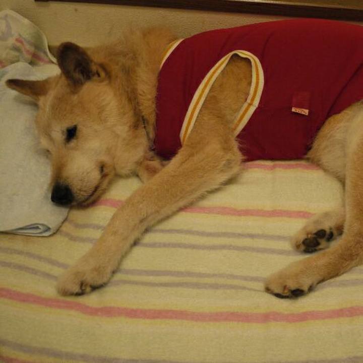 8a137f08 933c 4d9a 89d7 2aaa1fc695b9