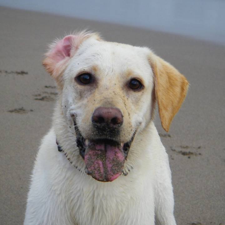 8a140793 2428 467c 9c1e 857088f73950