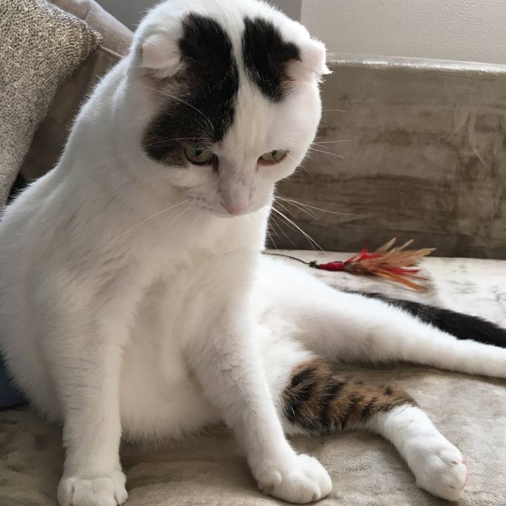 8a145a80 8270 4ed6 a212 99bdf8b7c86e