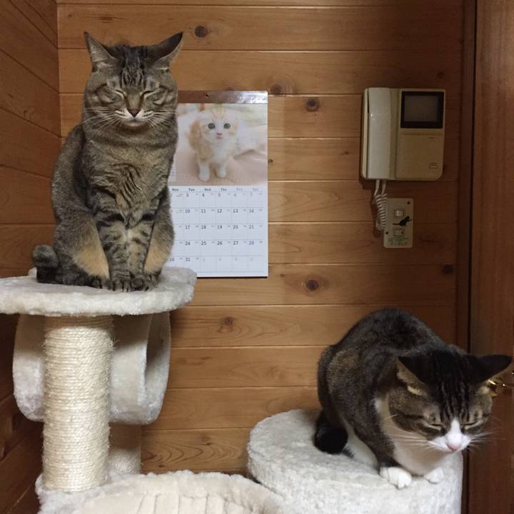 8a158654 22e6 4f70 94b9 8dc36804d855