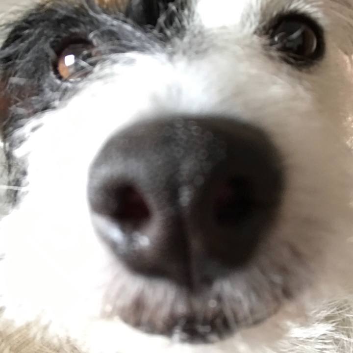 8a15de46 ca3b 4fe9 bc27 e24aa6638cb8