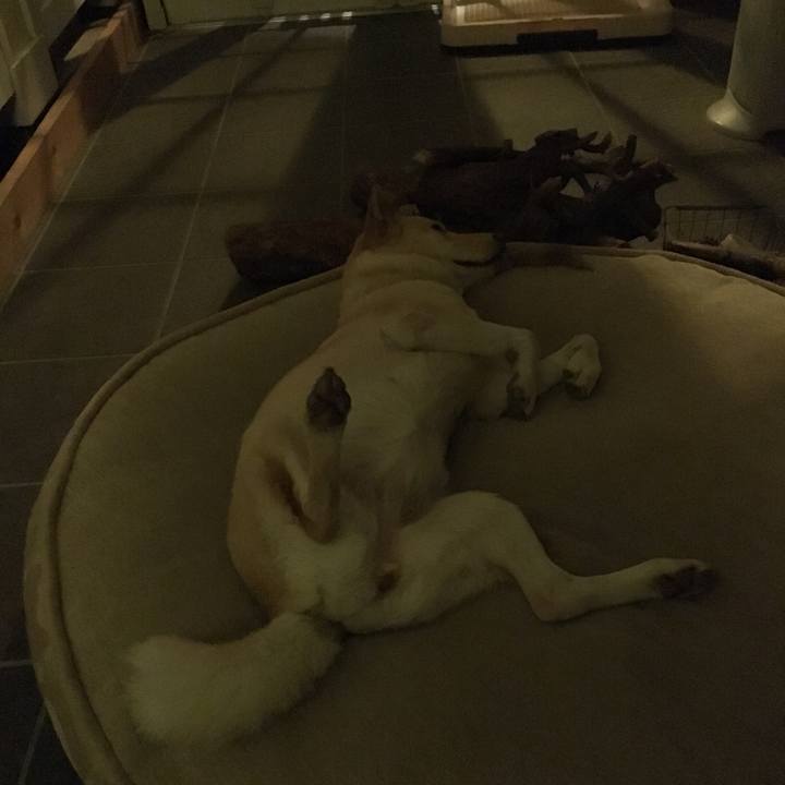 8a168012 2de2 4346 8ff9 765817c0429f