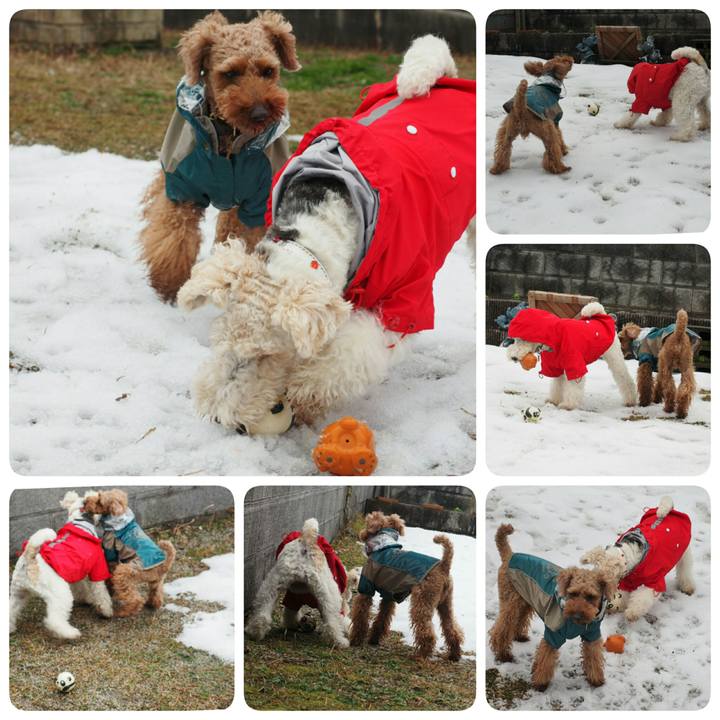 8a168a3d d2bb 47c7 8370 a980e484acc6