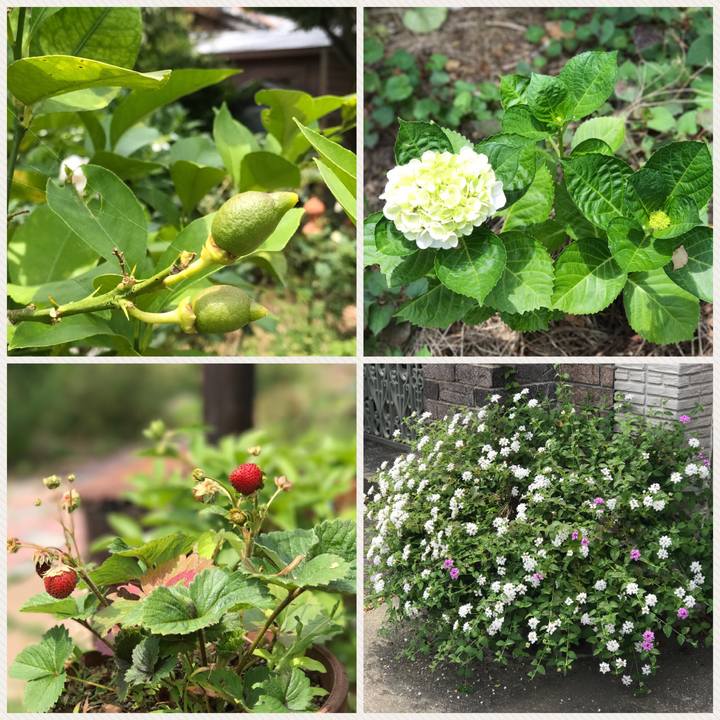 8a168d78 7b48 4d4f b9e0 4f7b87509d00