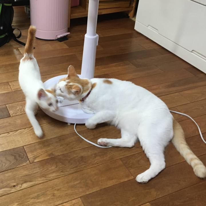 8a17c05d 7035 4423 ab84 e789e999ae58