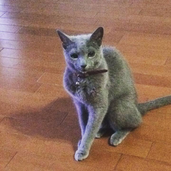 8a1896bd e47e 4547 90eb c99e4cc5f9b5