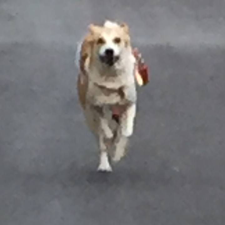 8a18ccc2 721d 435f a418 5214bcd36e87