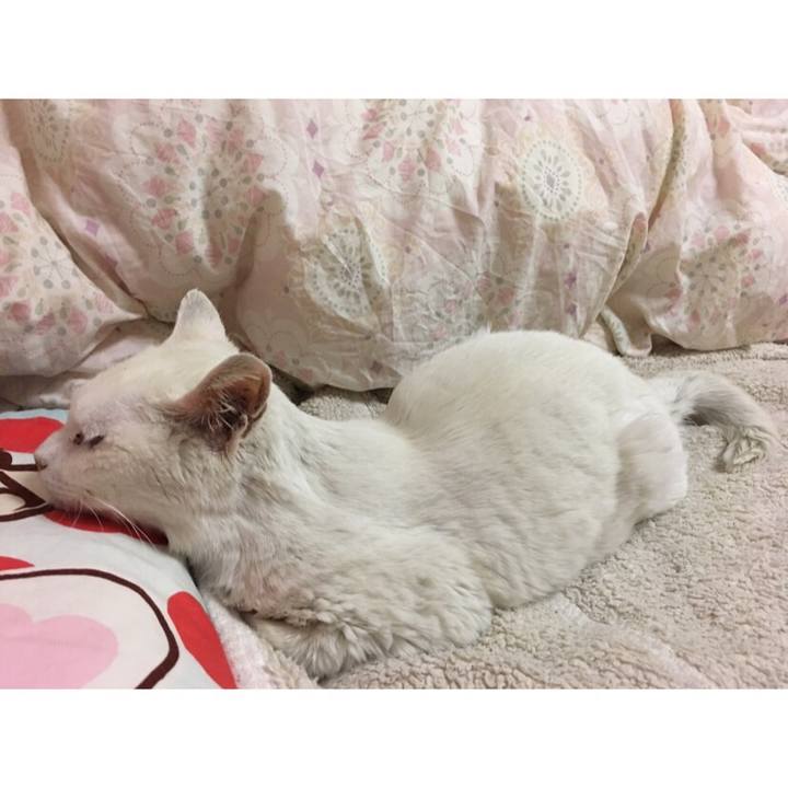 8a18e044 e120 4ac9 98a1 039f96a2a9cb