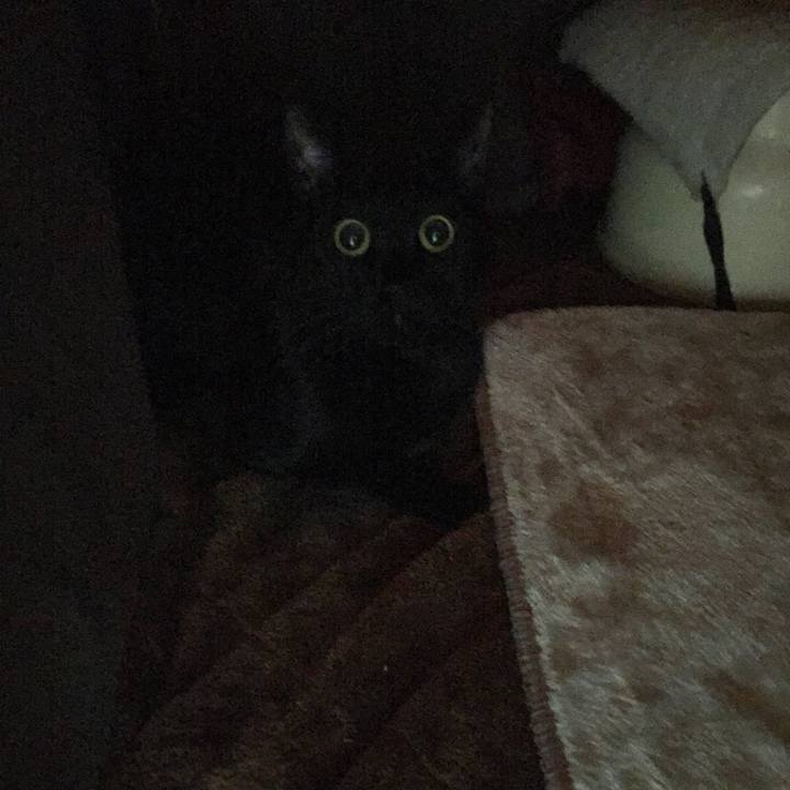 8a193519 f80a 49ab 8737 e1767445a1d7