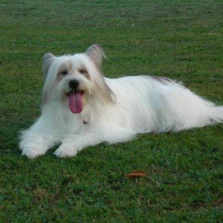 8a19ce20 5fbc 4697 8056 9e94ba046fa8