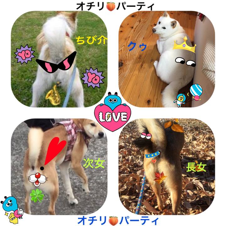 8a1a5a09 ce15 4e1e 9f23 117efb7a05b2