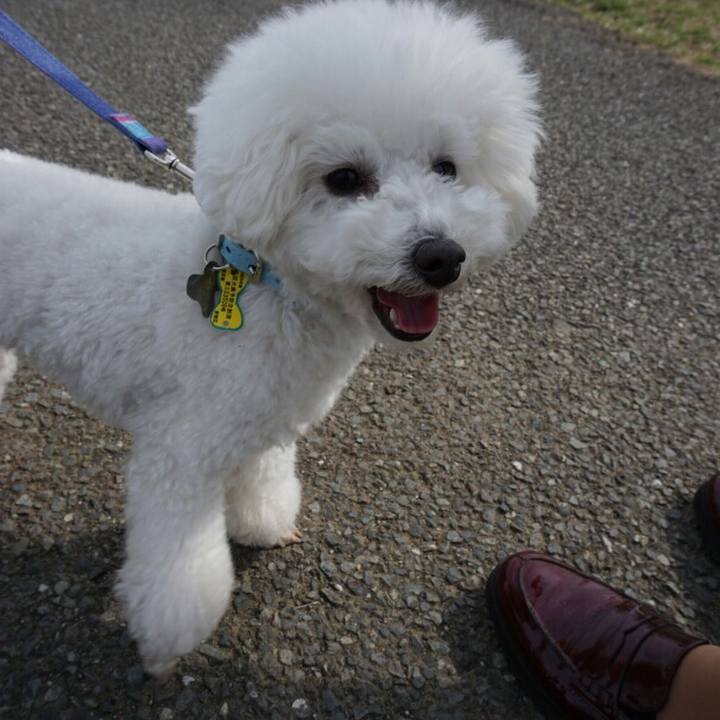 8a1bef9e 5107 4699 a1a2 45ec373eda93