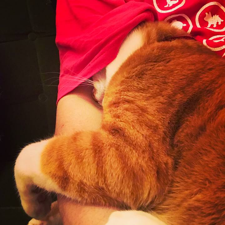 8a1c7fdd a62b 47dc 993e c2c8695d86a8