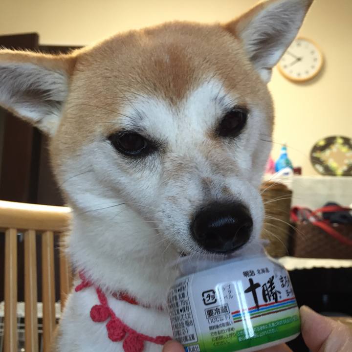 8a1cf35a e3b8 4f9e ad4b 49999be33a71