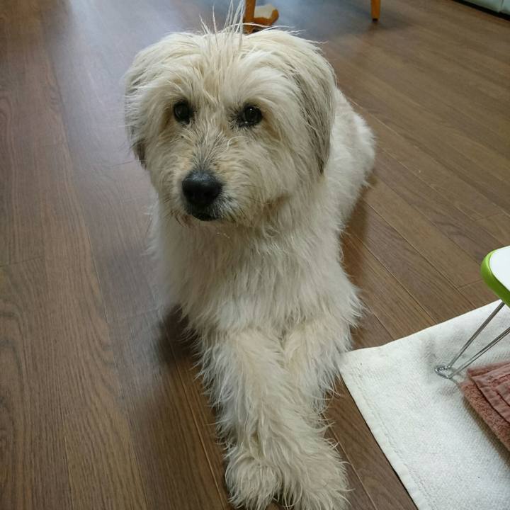 8a1d7754 1676 40bc 8385 19b54de12678