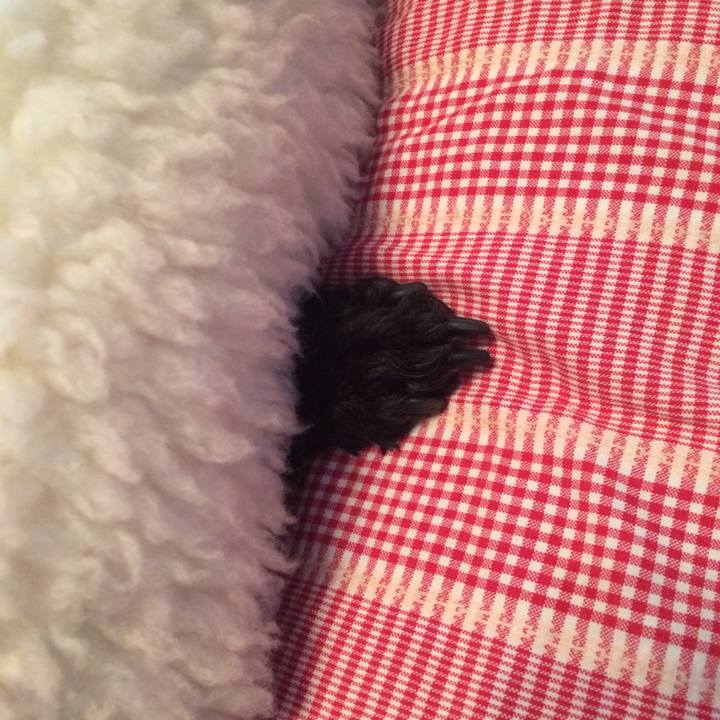 8a1eba30 f18e 4618 96de dd97ee92f73c