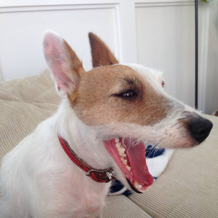 8a1f1b8e d0aa 403f bfed 6fbb08e8fe05