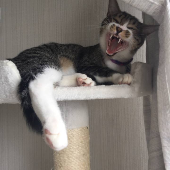 8a1fad68 031c 48bb 83f9 51659dff2493