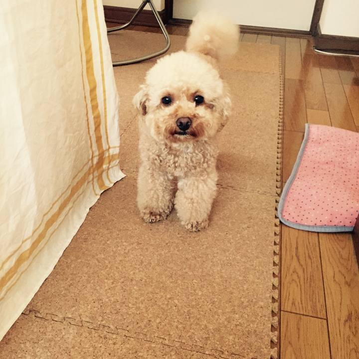 8a1fdae5 b2af 4e9b bfb5 9462c8968fc3