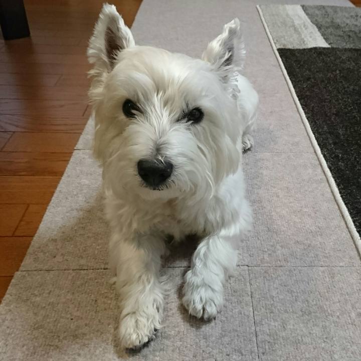 8a203694 f427 4e85 88fa 520f857a4c1d