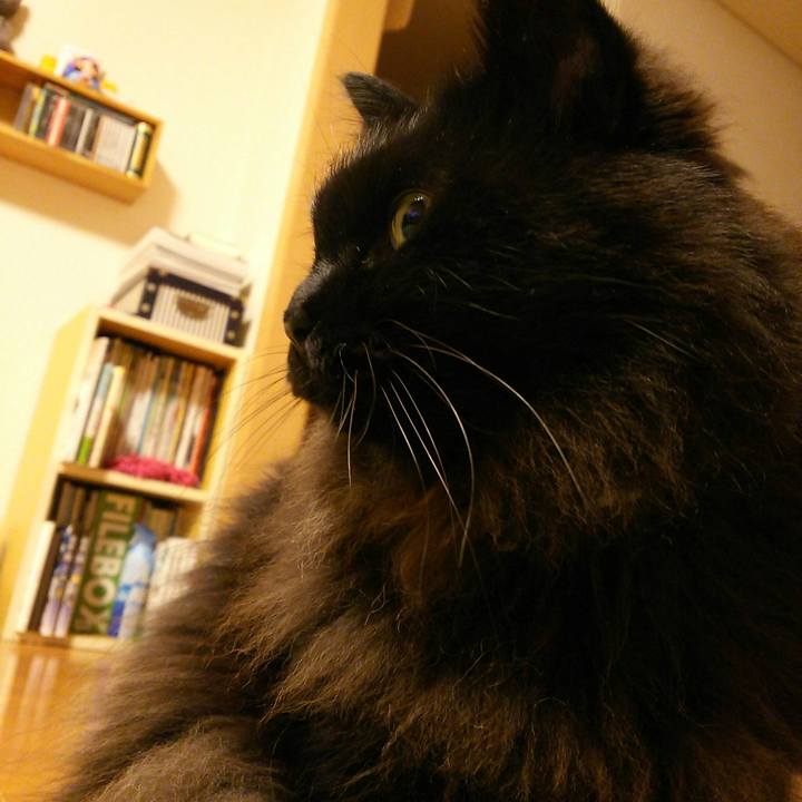 8a2066e2 c6a6 4263 b9d4 e23f79608671