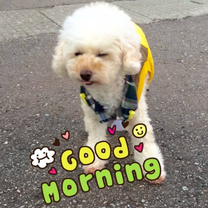 8a20cf96 d0de 4efb 9a71 817e3565caa7