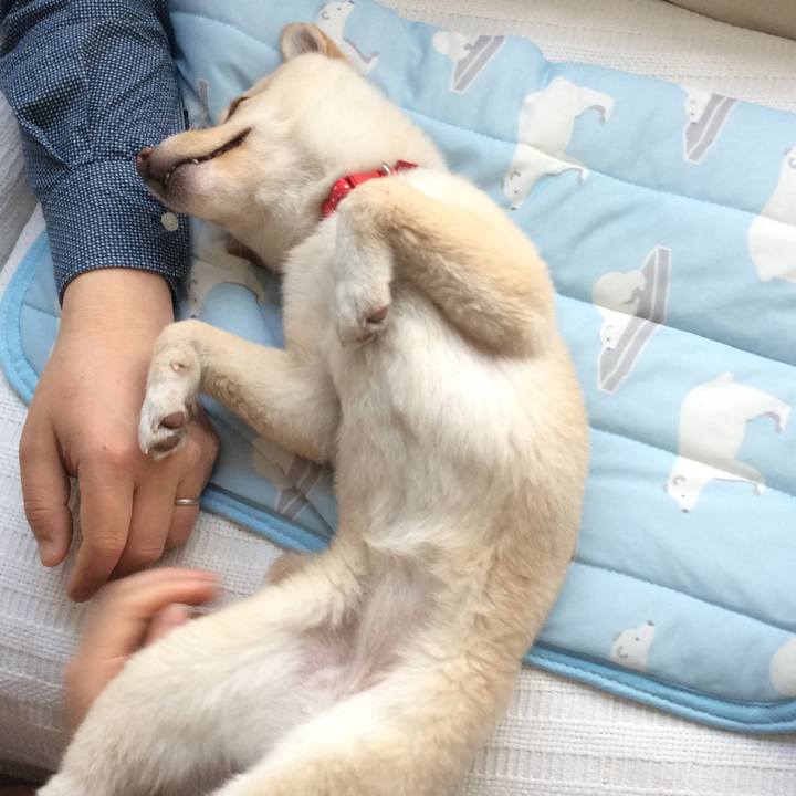 8a20d35d 7229 43bd a8d5 0999abcf8a48