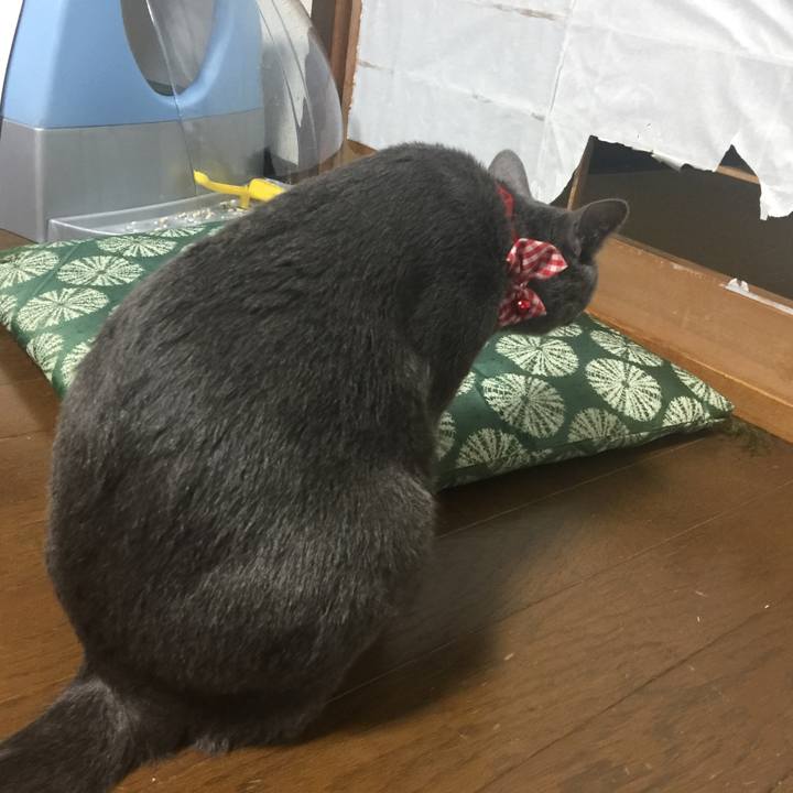 8a2125e2 38c4 4d8d b06b b9e34af7a3d2