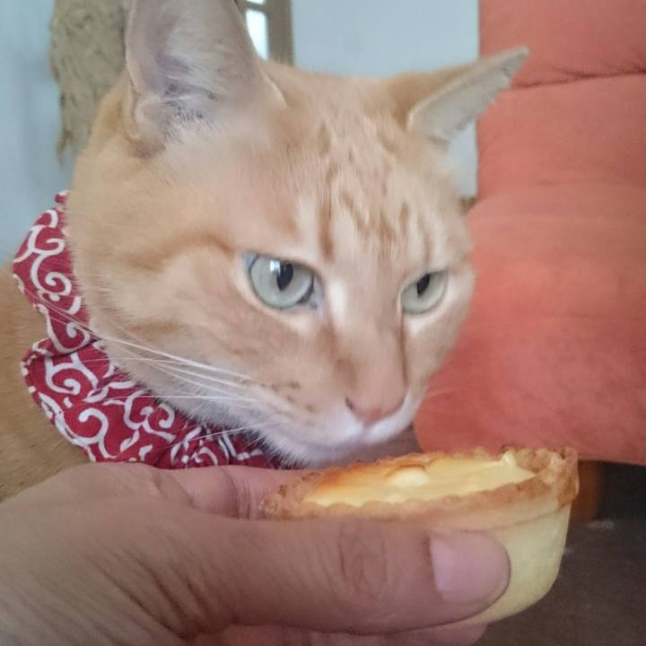 8a220b1d c316 403c 902b 2b77fd47bd43