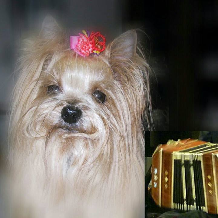 8a2282ec 047c 4e39 a7d9 271060598178