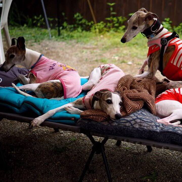 8a22be04 a311 4588 b124 573c7f903fd8