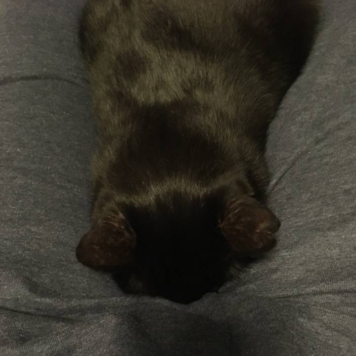 8a22e2fd 3ec5 4b1c ab3e 52d9062b2864