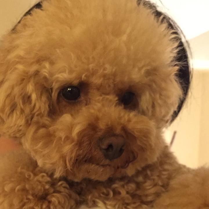 8a22f033 6b84 4095 a6ea 9332941515a0