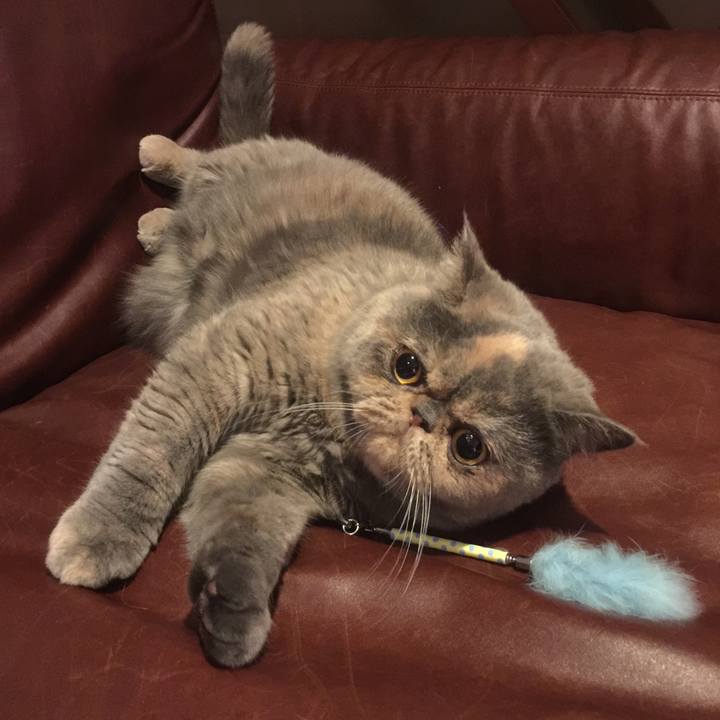 8a234606 ffce 48cb a2df b0da75820cb1