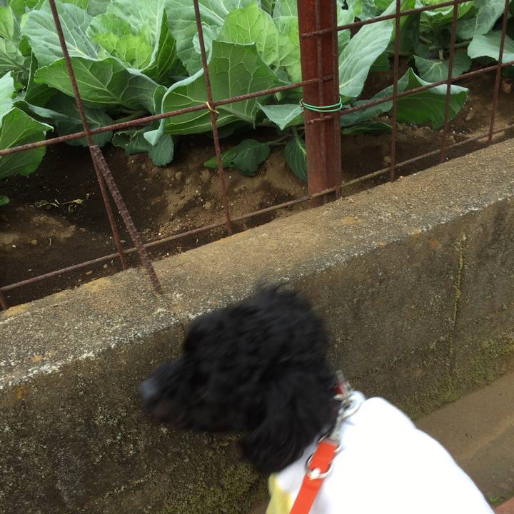 8a23a008 5df5 4b33 94c0 5f9f5d0e3d18