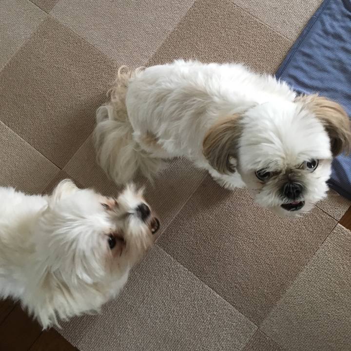 8a23a49b df30 4616 ab87 a7af4da3b859