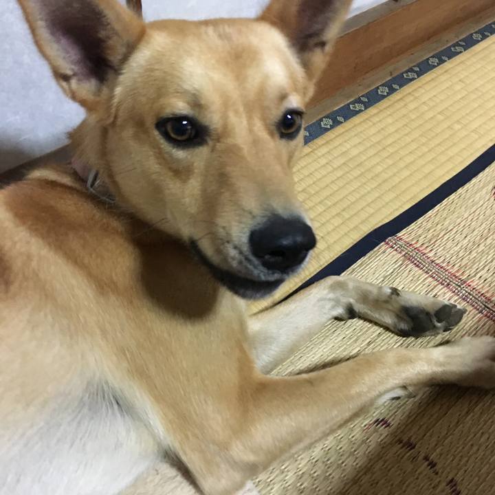 8a24310b c6d8 4612 90e3 0179fca2eee8