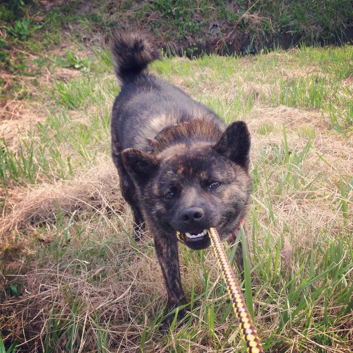 8a244b37 197c 4c87 ac72 339d87182813