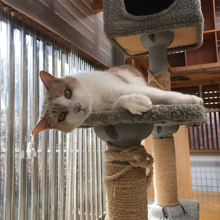 8a245bdf bb66 4b83 848e 3e6125815c4a