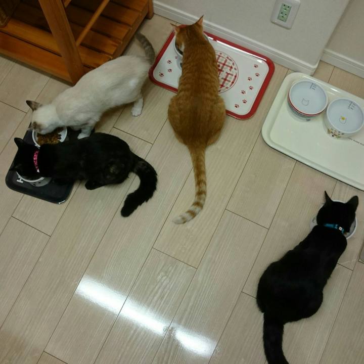 8a2497cc 10c0 476b 93eb c88316ef55eb