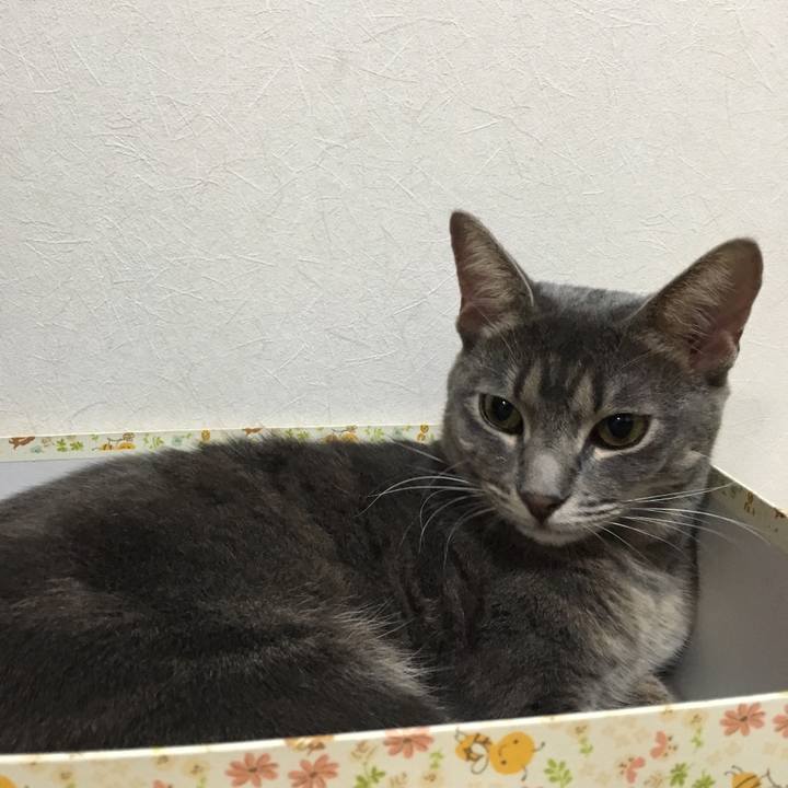 8a24b170 a614 4736 8ac3 183ef2725de7