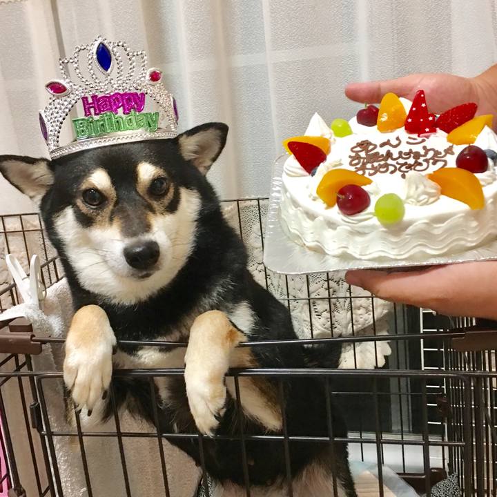 8a2578b7 1864 46ac a321 5f6ec278f348