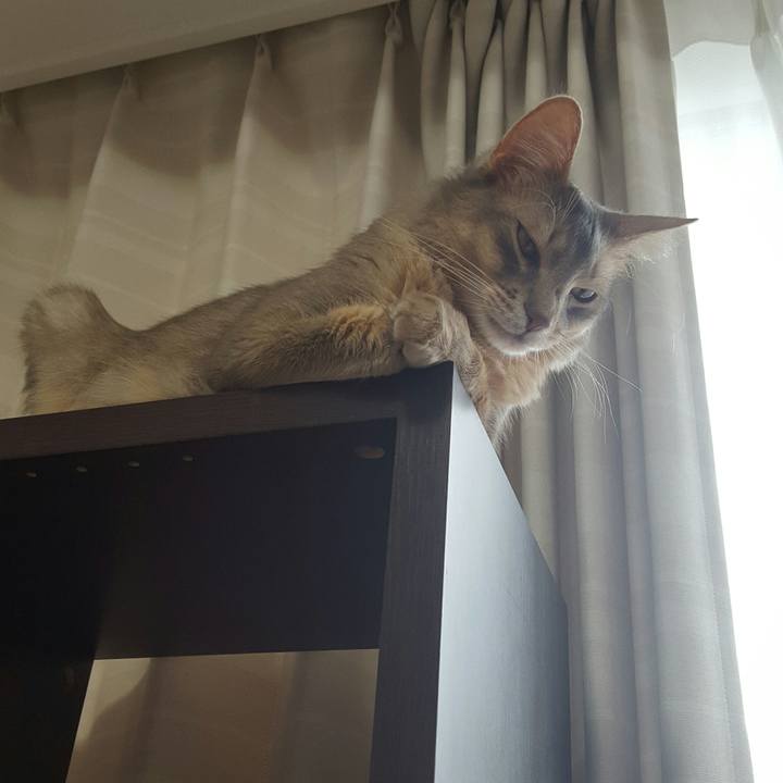 8a258ccf 8fbb 4c03 9e56 ae5a6882206d