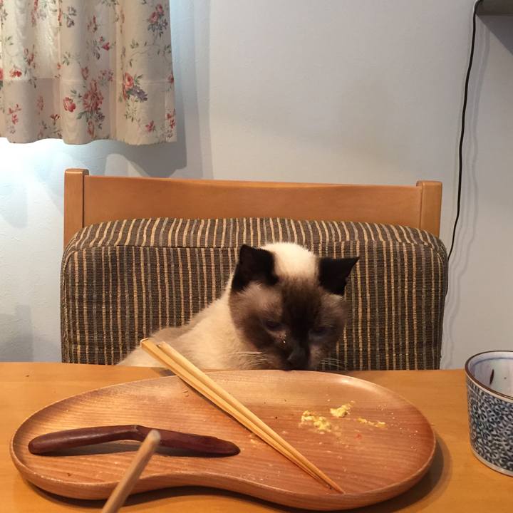 8a25b79b d4de 446a b428 eb46e4450f11