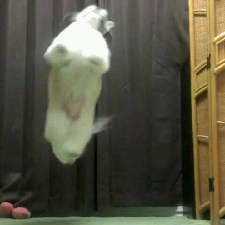 8a267821 7a4c 4fe1 9e1f 3aa14eec43a1