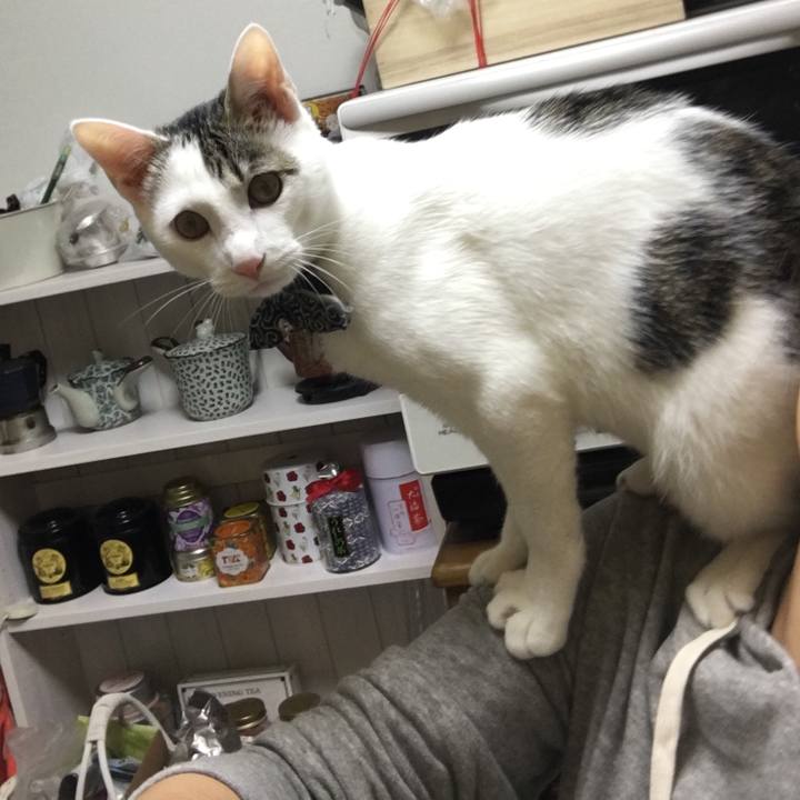 8a275a93 1732 4d66 a779 bf52e24840a6