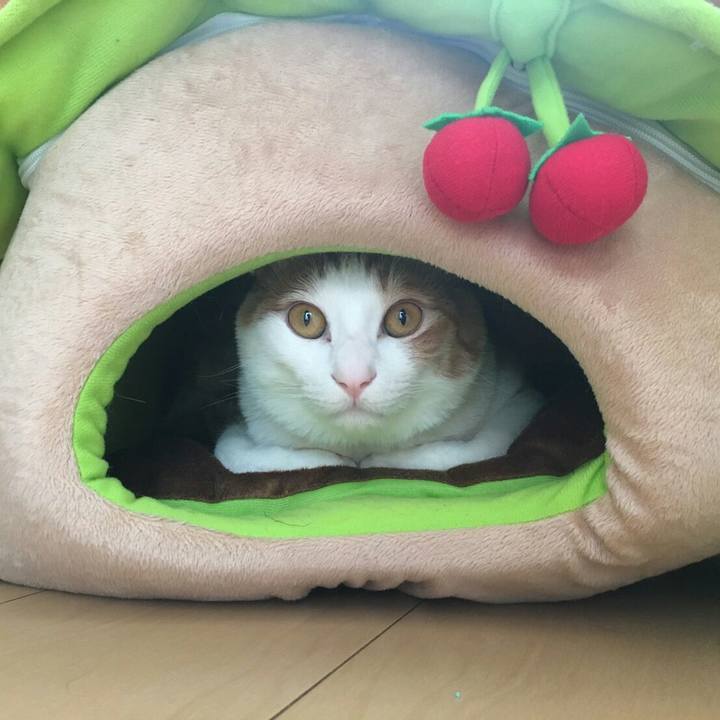 8a281df2 5259 41c9 a2e5 93d5384a7a9a