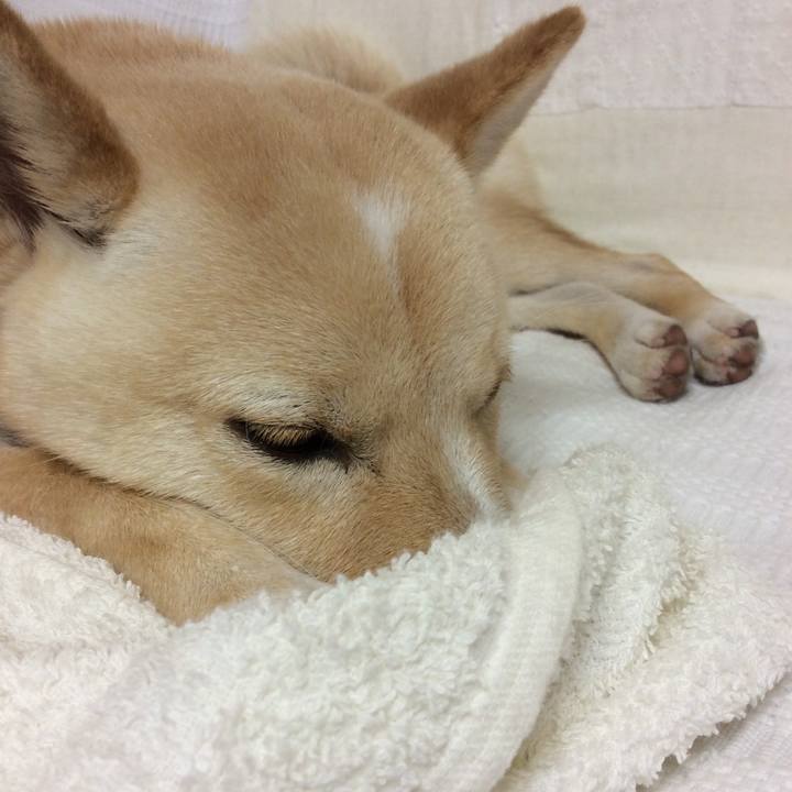 8a290aef 493a 40e4 8a8a 4cb03391411a