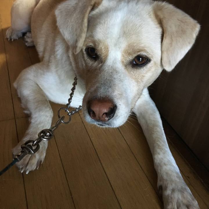 8a29da73 b50d 41d7 b9f4 099322264e32