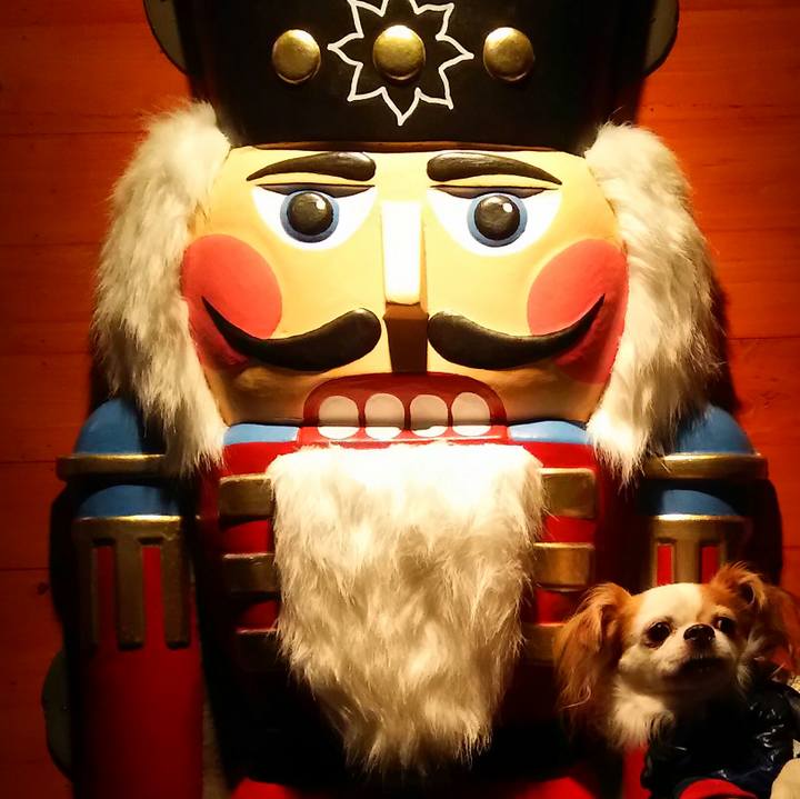 8a2a3abe 6aab 4937 a6ad d6ca919642b7